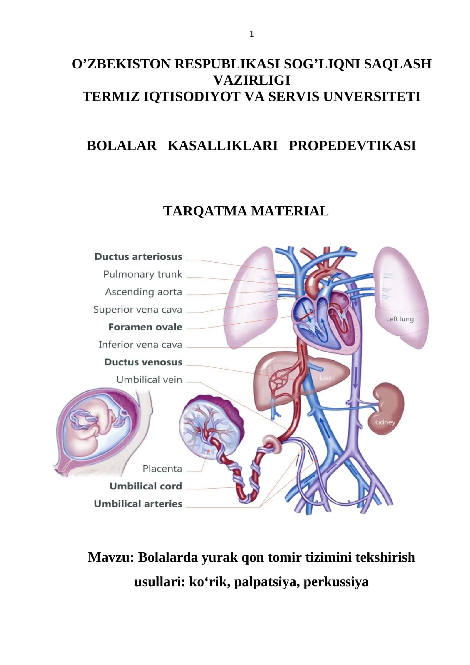 Bolalarda yurak qon tomir tizimini tekshirish usullari: ko‘rik, palpatsiya, perkussiya 1