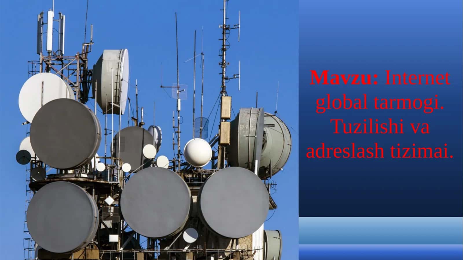 Internet global tarmogi. Tuzilishi va adreslash tizimai 1
