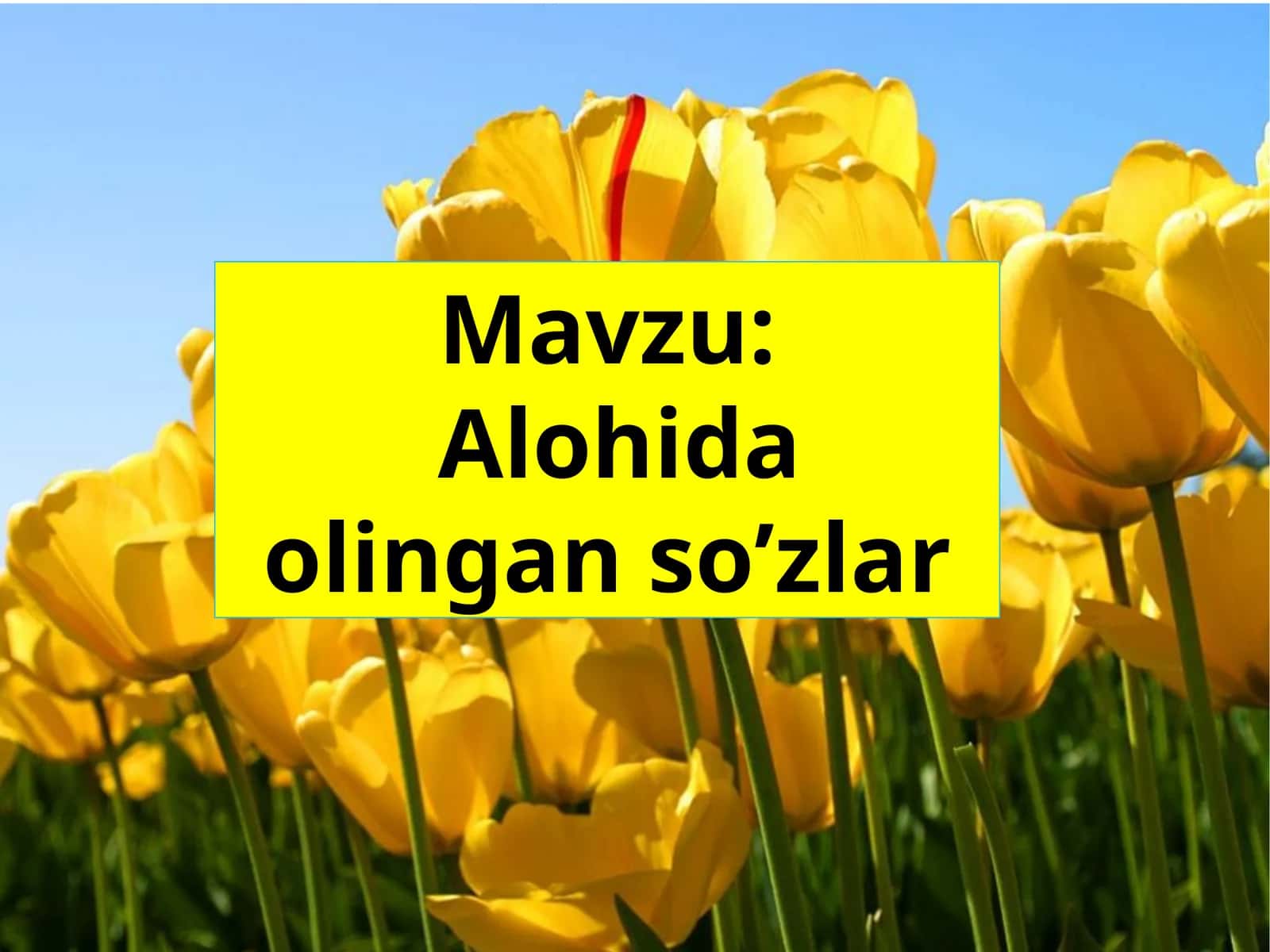 Alohida olingan so’zlar 1