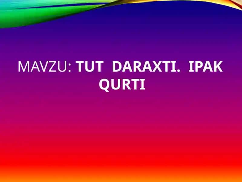 Tut daraxti 1