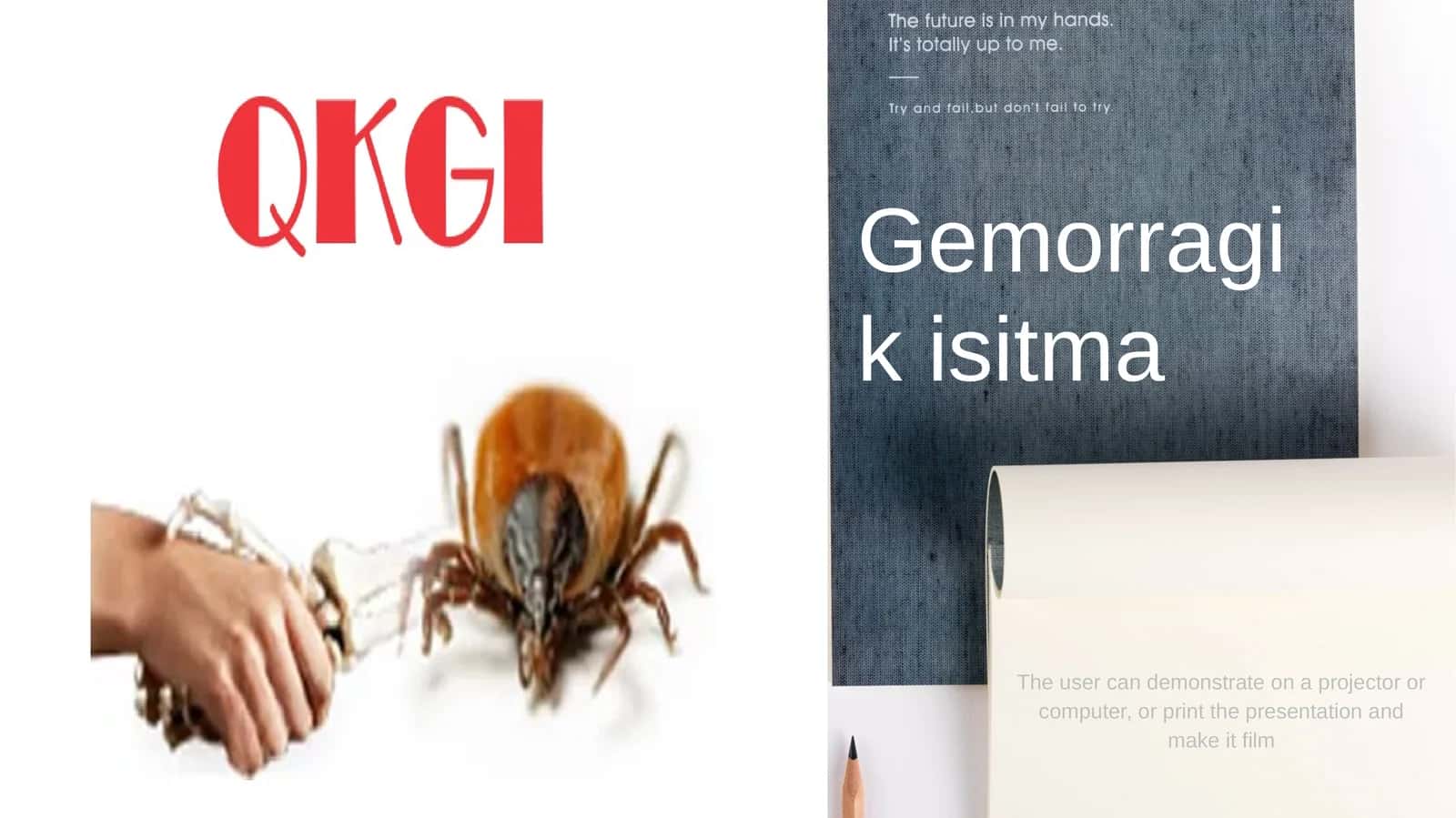 Gemorragik isitma 1