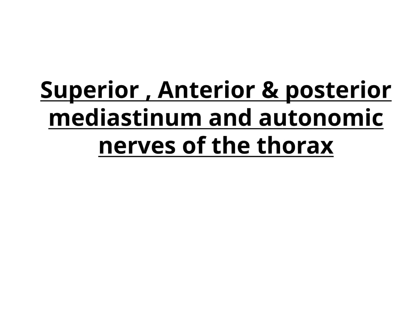 Superior, Anterior & posterior mediastinum and autonomic nerves of the thorax 1
