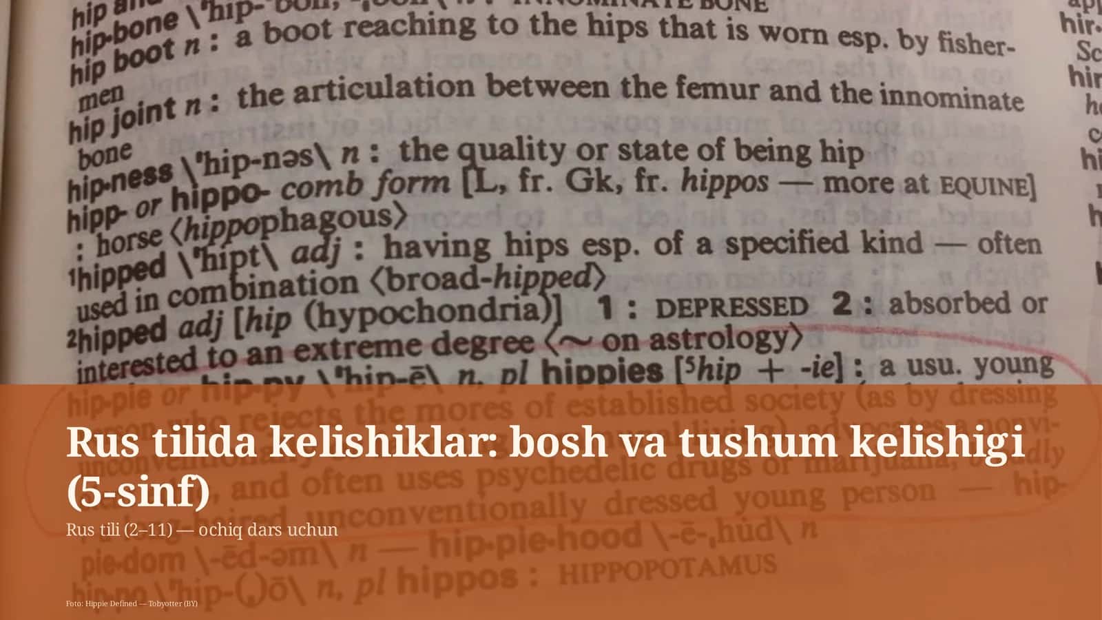 Rus tilida kelishiklar: bosh va tushum kelishigi (5-sinf) 1