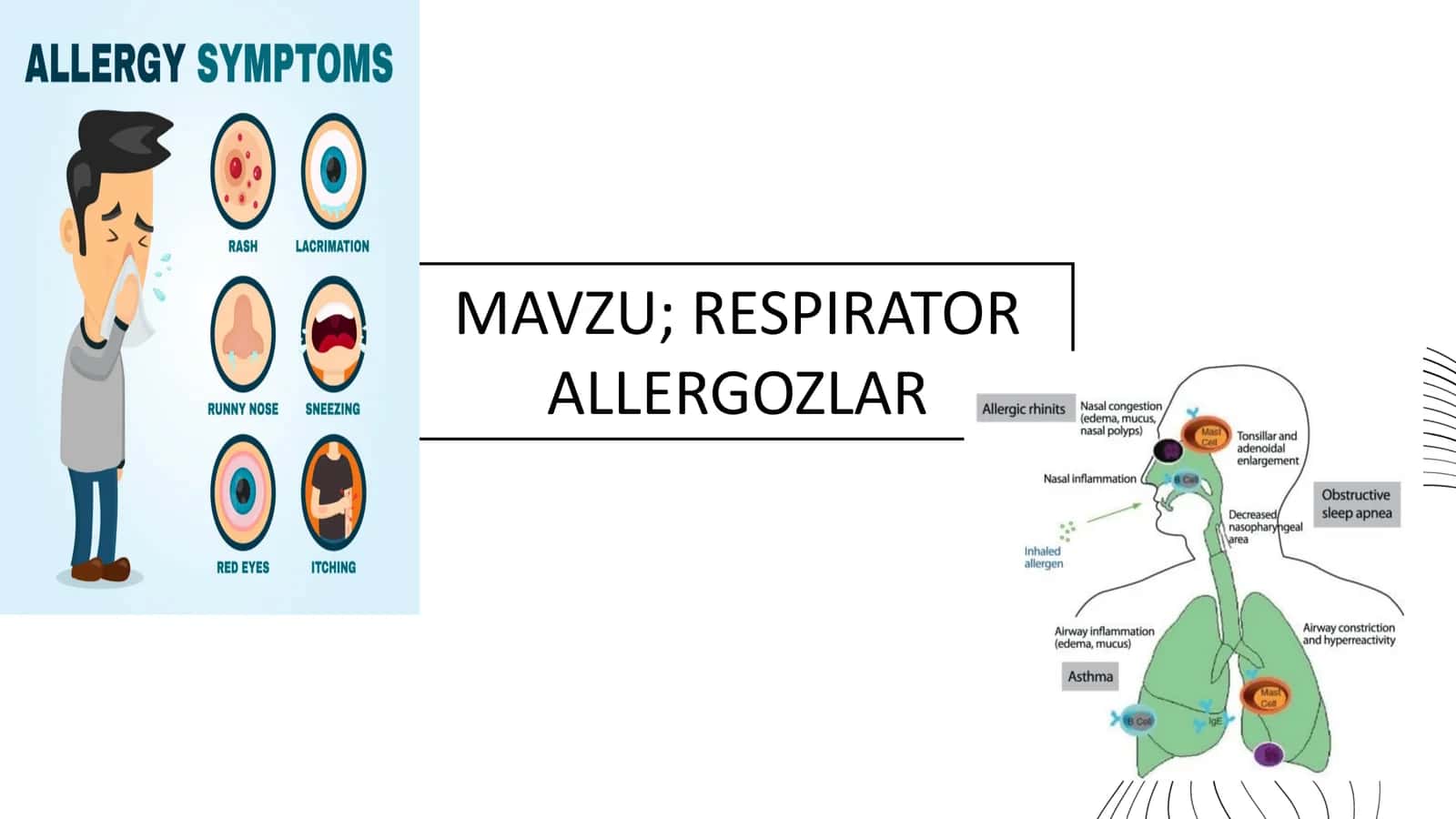 RESPIRATOR ALLERGOZLAR 1