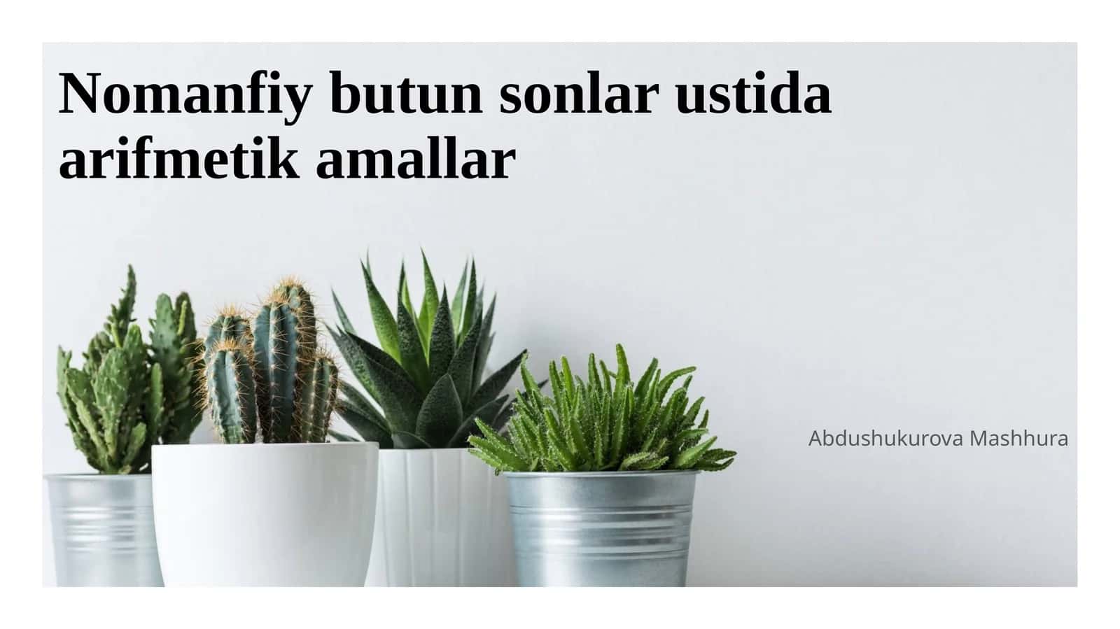Nomanfiy butun sonlar ustida arifmetik amallar 1