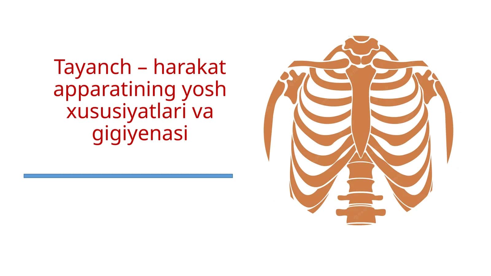 Tayanch - harakat apparatining yosh xususiyatlari va gigiyenasi 1