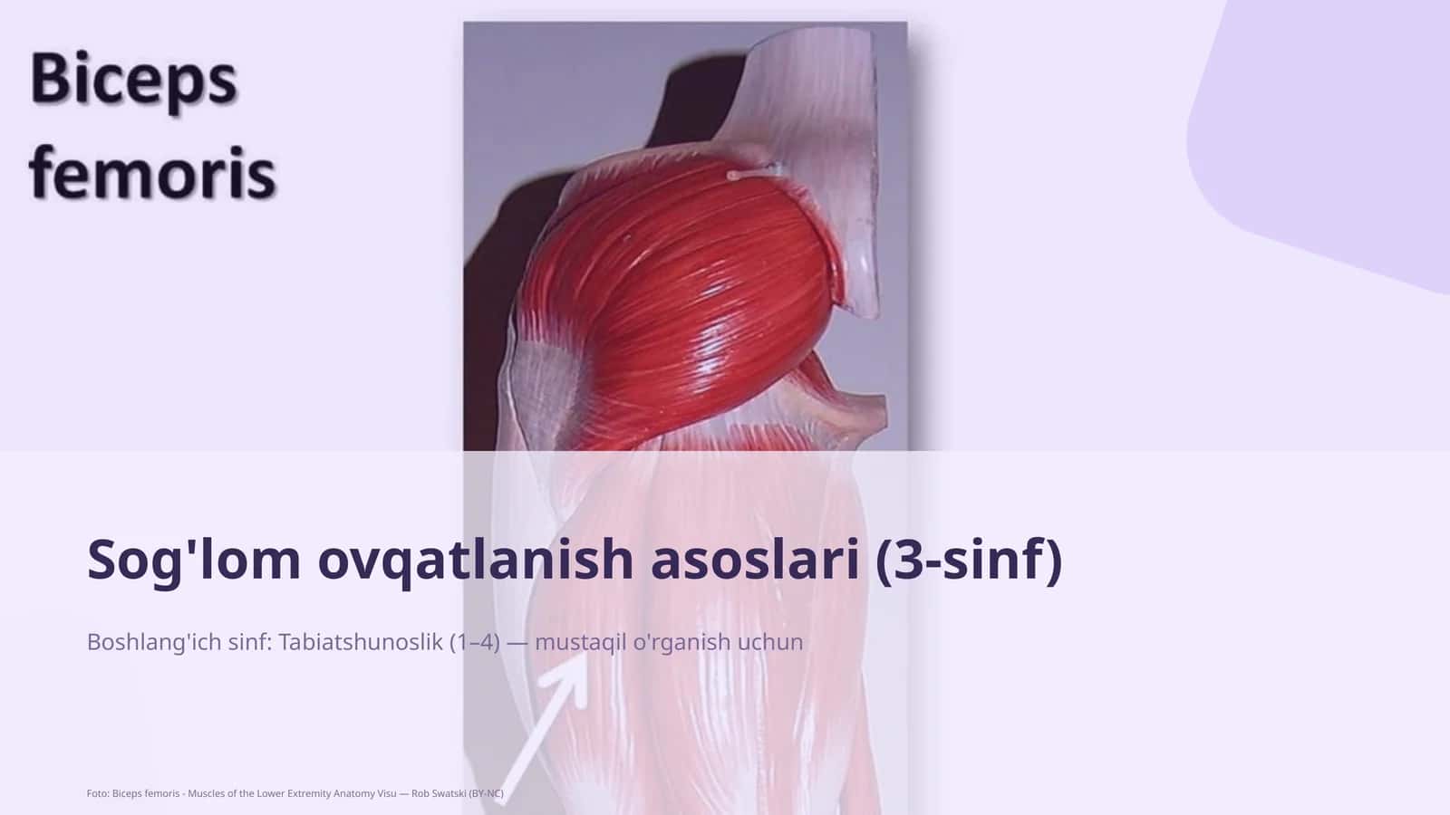 Sog'lom ovqatlanish asoslari (3-sinf) 1