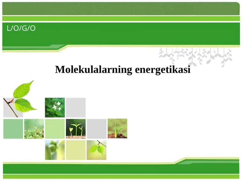 Molеkulalarning enеrgеtikasi 1