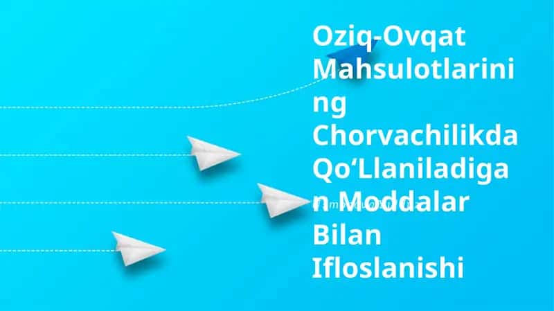 Oziq-Ovqat Mahsulotlarining Chorvachilikda Qo'Llaniladigan Moddalar Bilan Ifloslanishi 1
