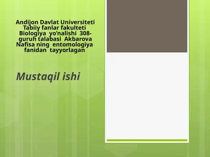 Entomologi. Hasharotlar morfologiyasi 1