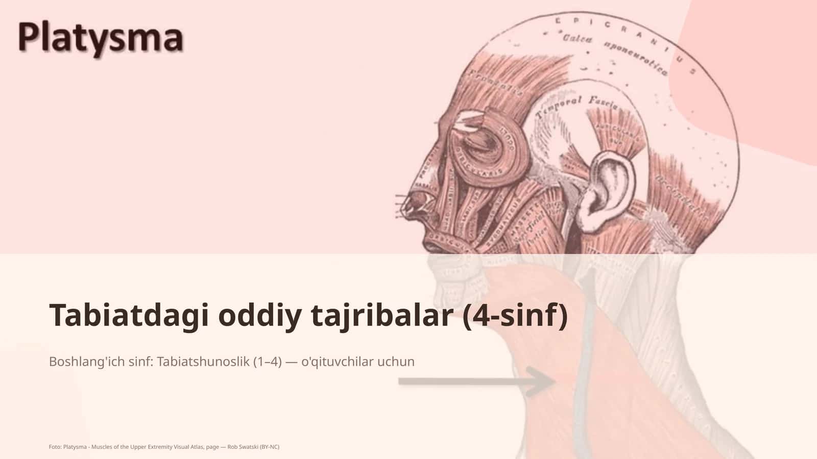Tabiatdagi oddiy tajribalar (4-sinf) 1