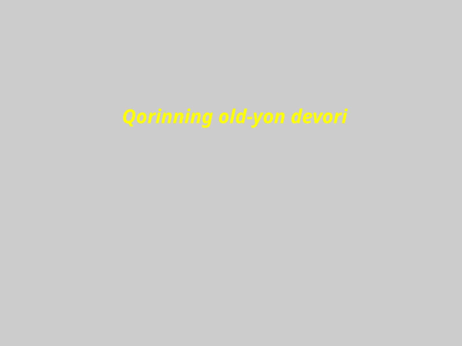 Qorinning old-yon devori 1