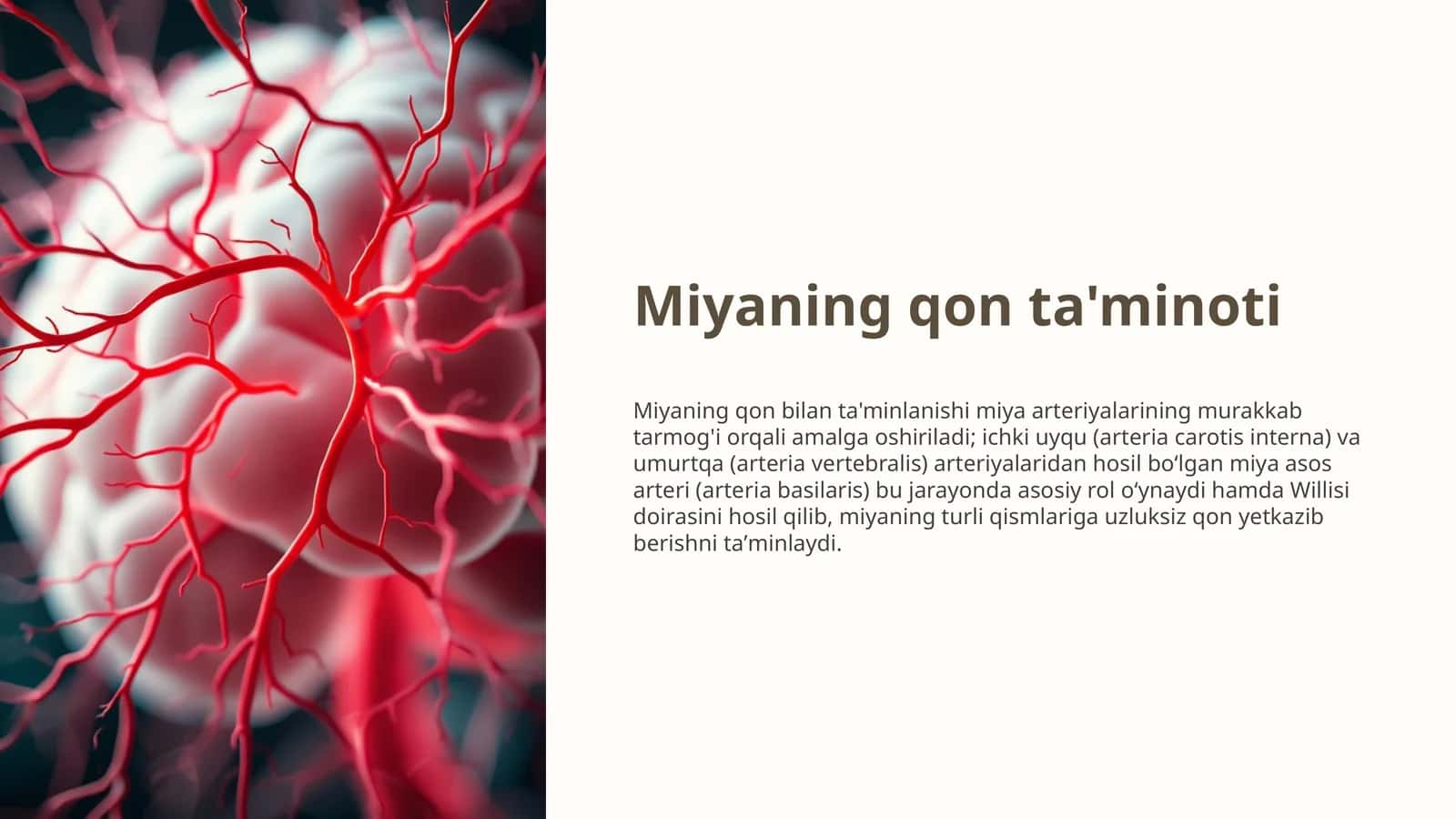 Miyaning qon ta'minoti 1
