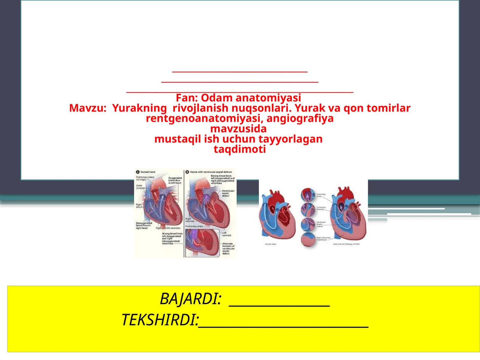 Yurakning rivojlanish nuqsonlari 1