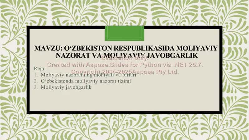 Oʻzbekiston respublikasida moliyaviy nazorat va moliyaviy javobgarlik 1