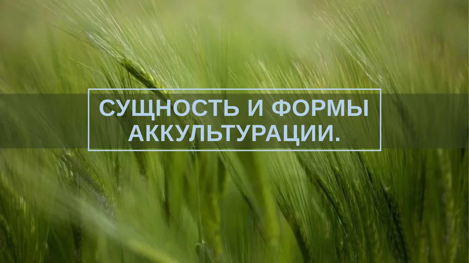 Сущность и формы аккультурации. 1