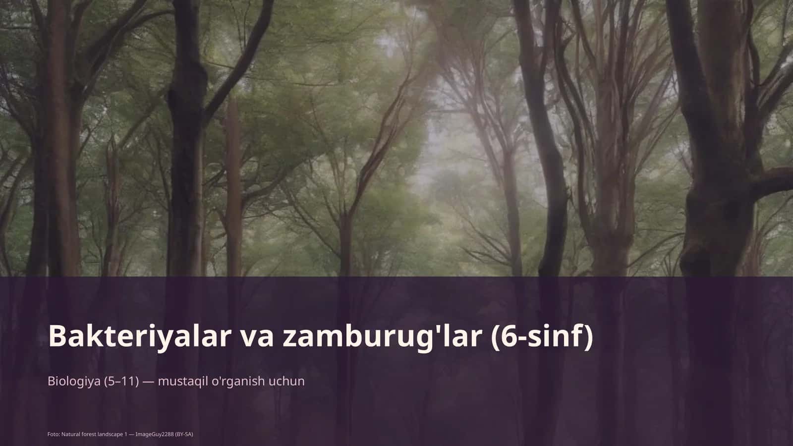 Bakteriyalar va zamburug'lar (6-sinf) 1