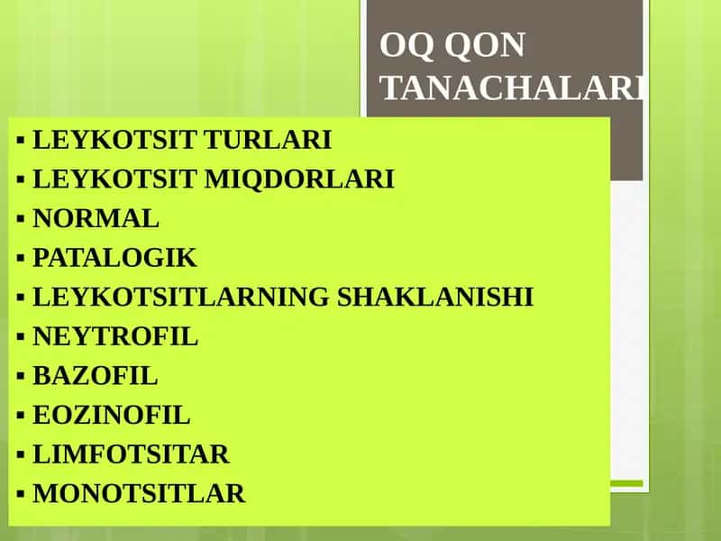 Leykotsitlar (Oq Qon Tanachalari) 1