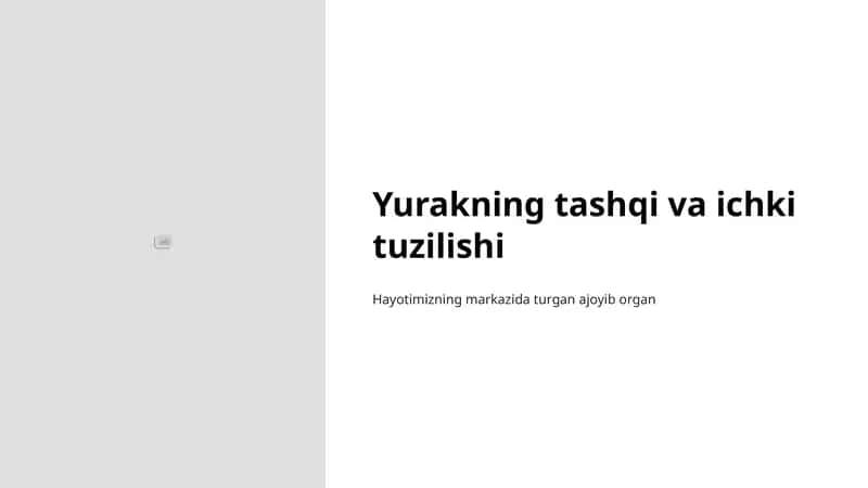 Yurakning tashqi va ichki tuzilishi 1