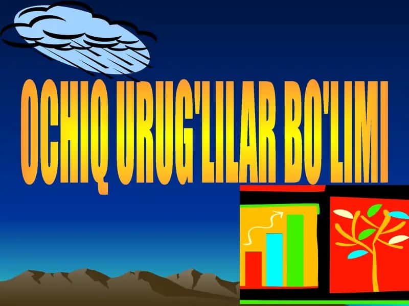 OCHIQ URUG'LILAR BO'LIMI 1