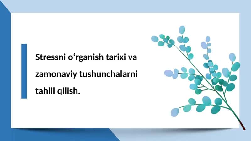 Stress va uning bosqichlari 1