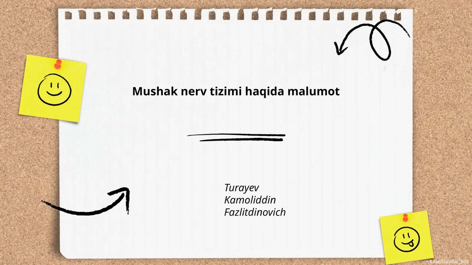 Mushak nerv tizimi haqida malumot 1