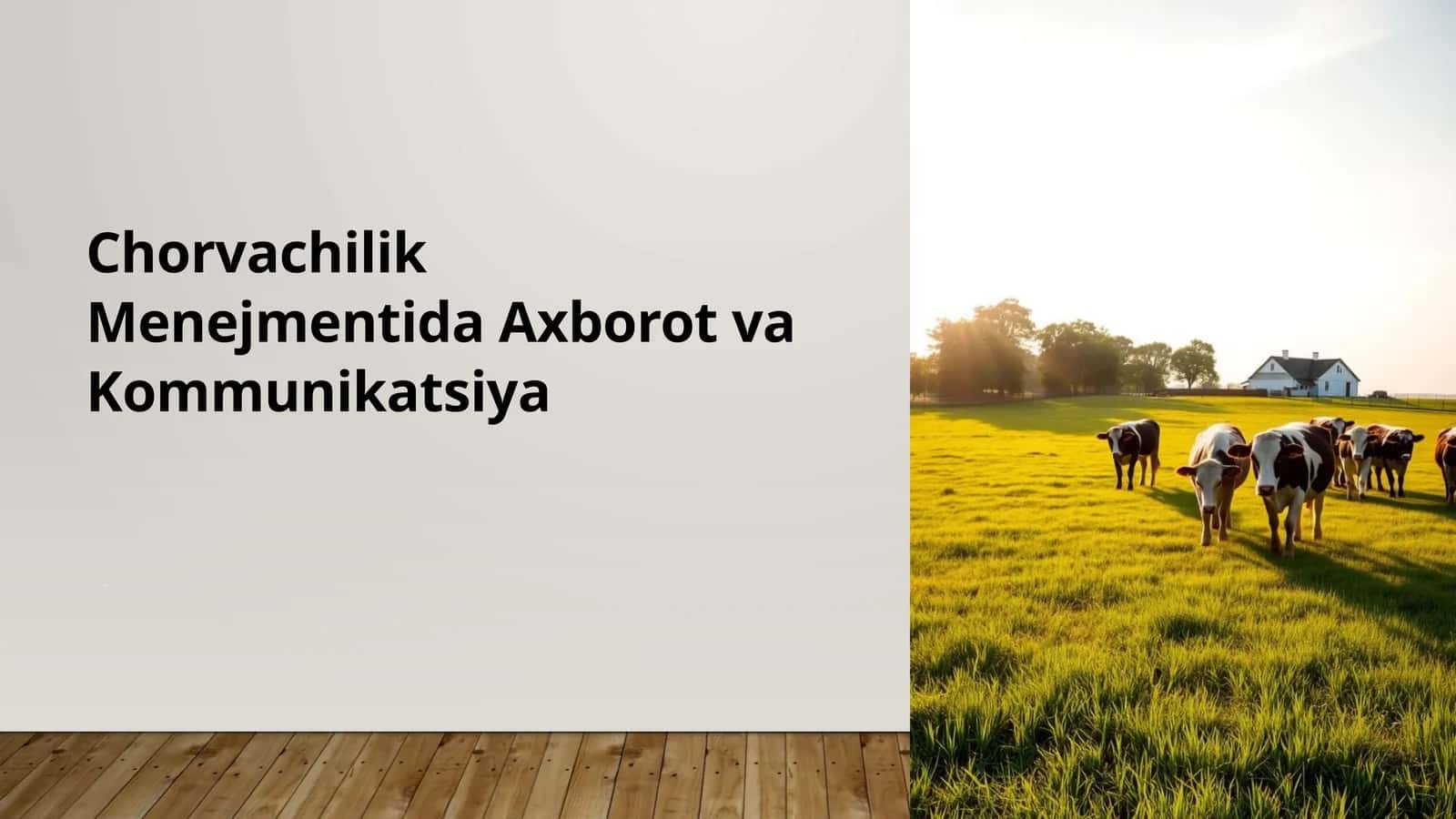 Chorvachilik Menejmentida Axborot va Kommunikatsiya 1