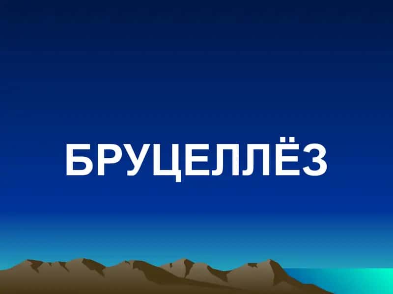 Бруцеллёз 1