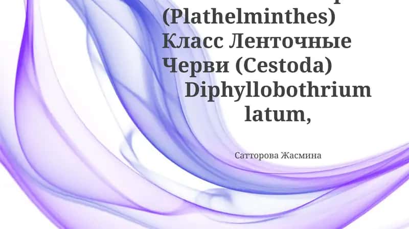 Diphyllobothrium latum 1