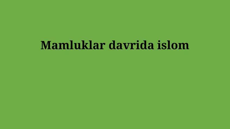 Mamluklar davrida islom 1