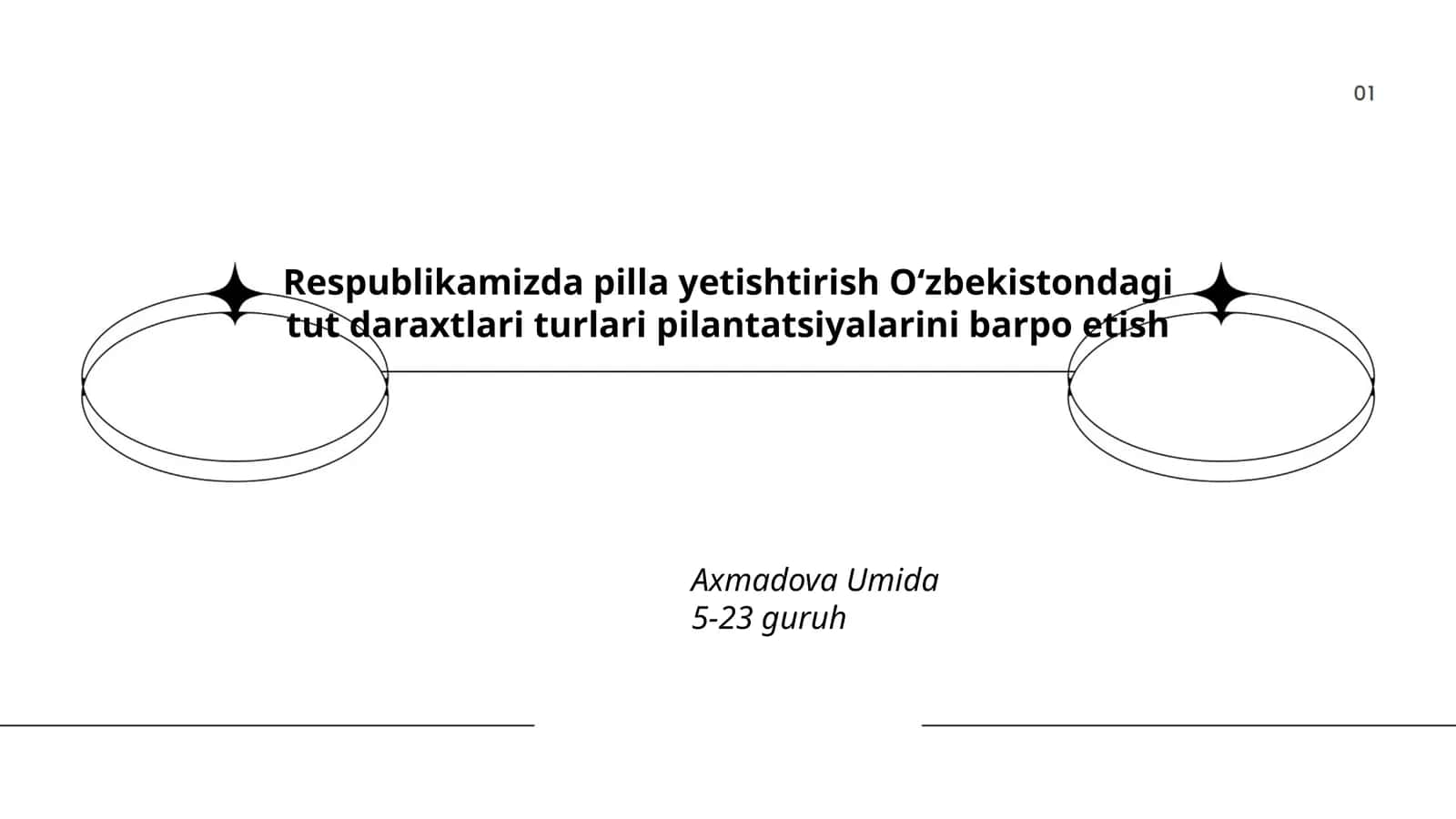 Pilla Yetishtirish Oʻzbekistondagi Tut Daraxtlari Turlari Pilantatsiyalarini Barpo Etish 1