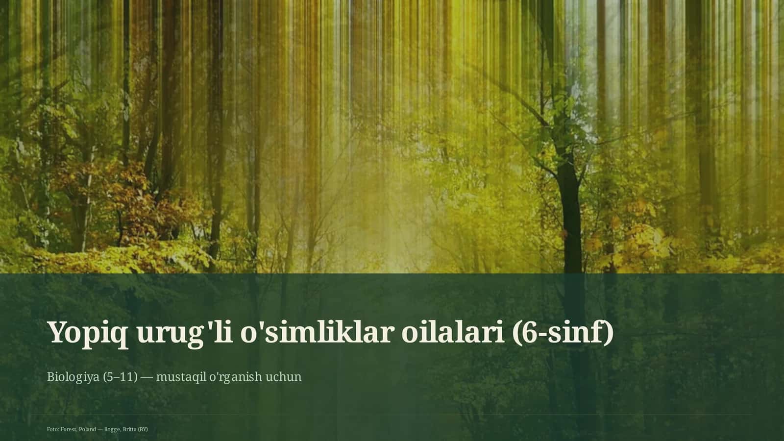 Yopiq urug'li o'simliklar oilalari (6-sinf) 1
