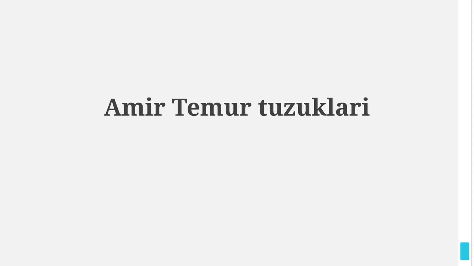 Amir Temurtuzuklari 1
