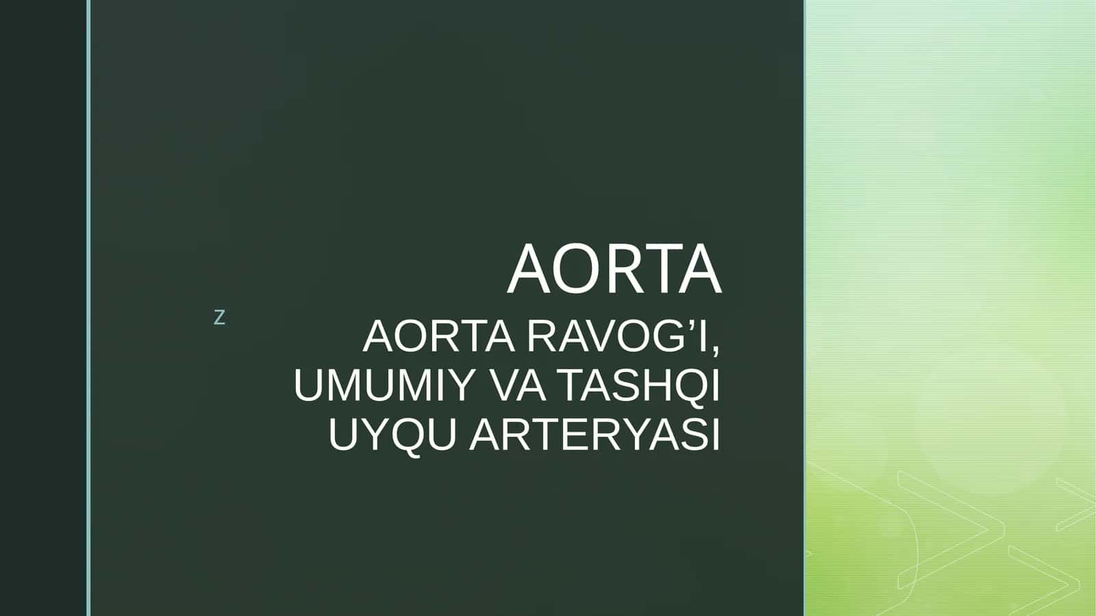 AORTA RAVOG’I, UMUMIY VA TASHQI UYQU ARTERYASI 1