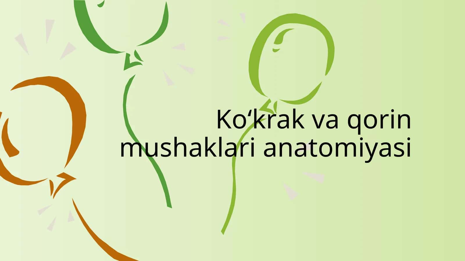 Ko‘krak va qorin mushaklari anatomiyasi 1