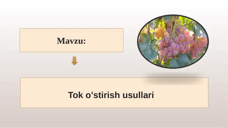 Tok oʻstirish usullari 1