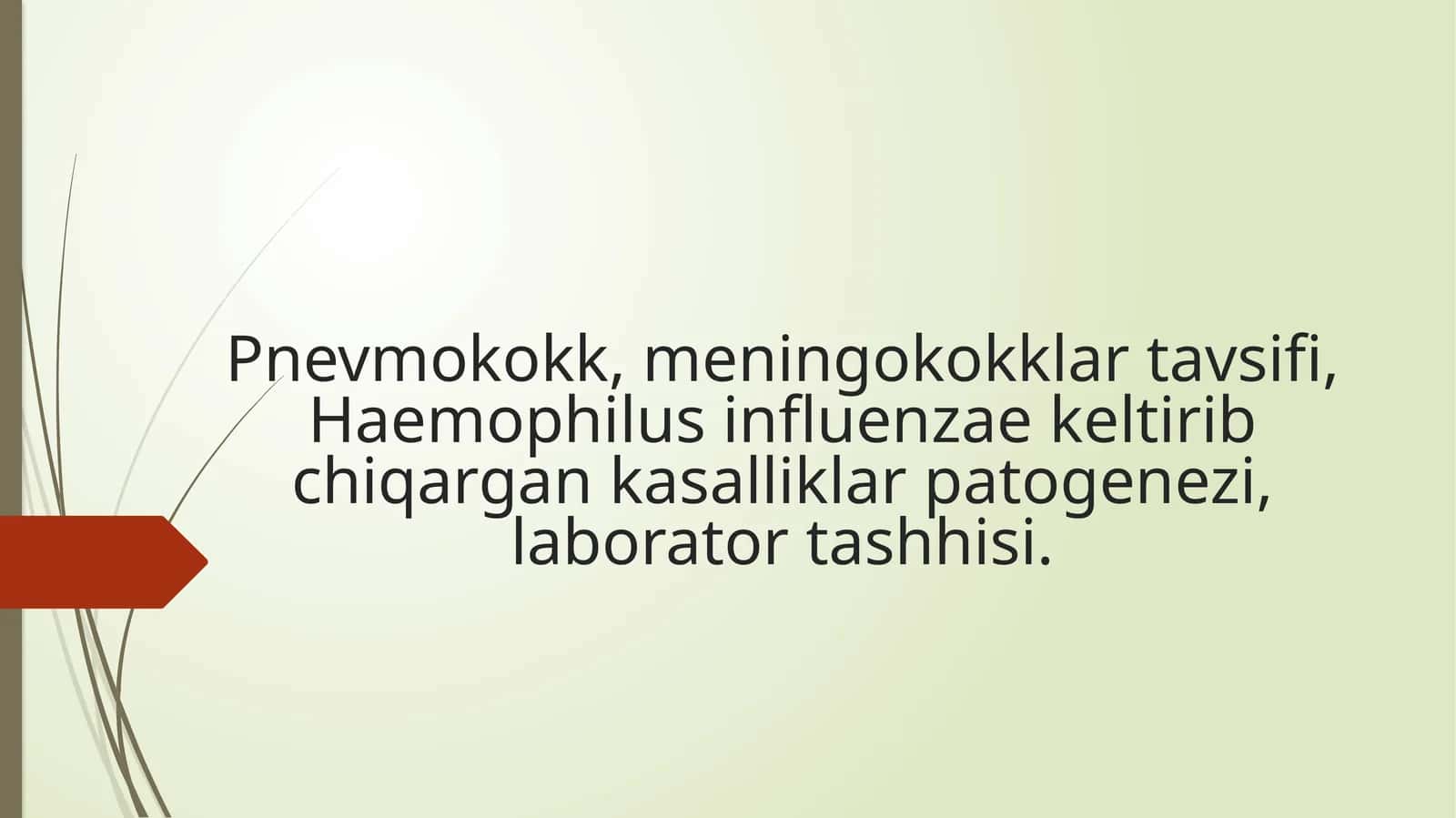 Pnevmokokklar tavsifi 1