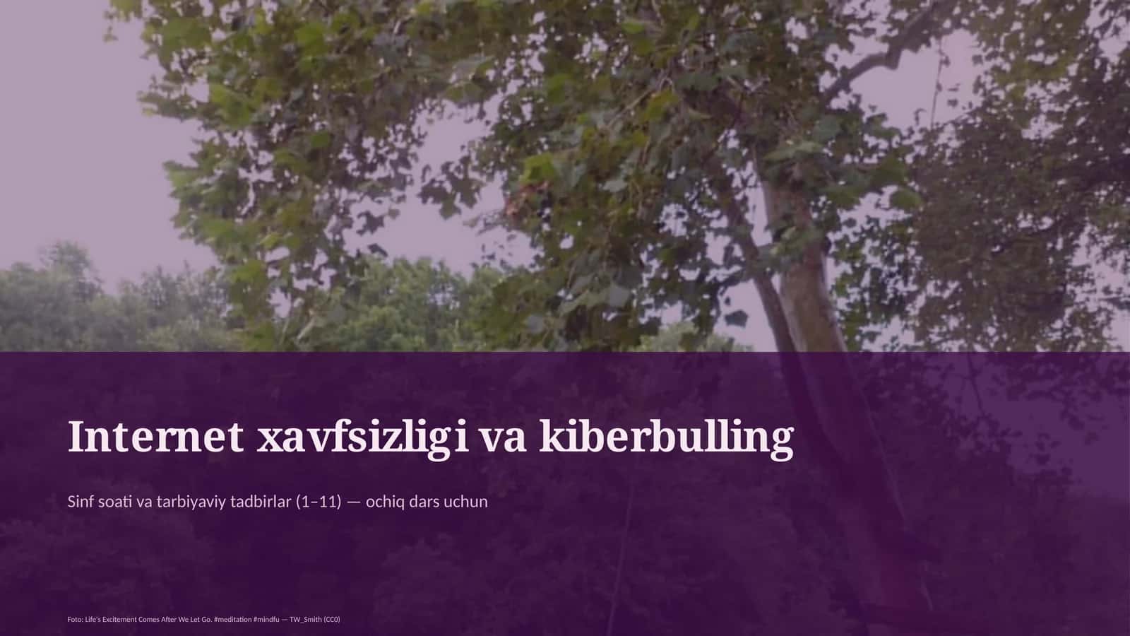 Internet xavfsizligi va kiberbulling 1