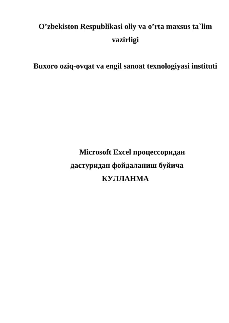 Microsoft Excel 1