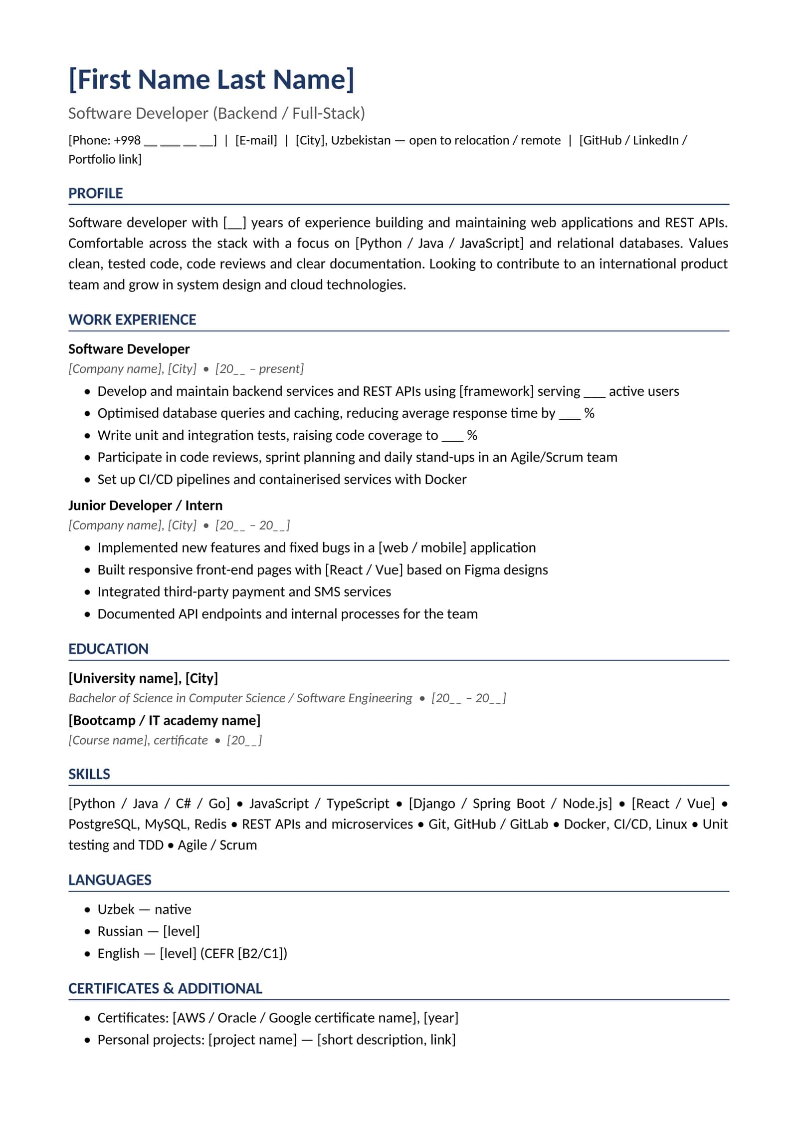 CV 02 English Software developer 1