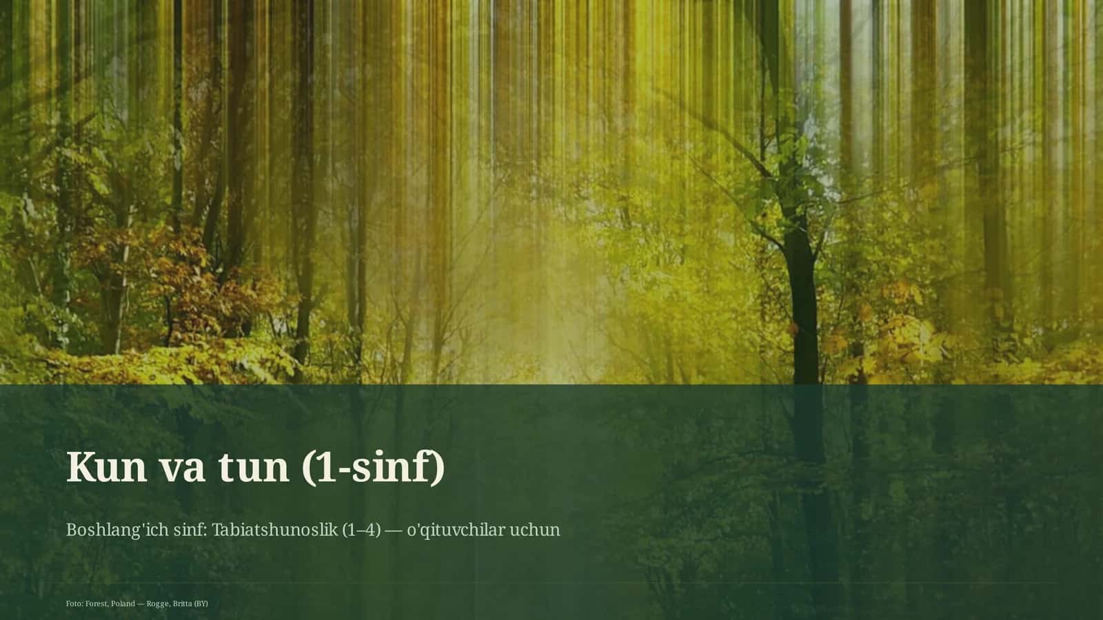 Kun va tun (1-sinf) 1