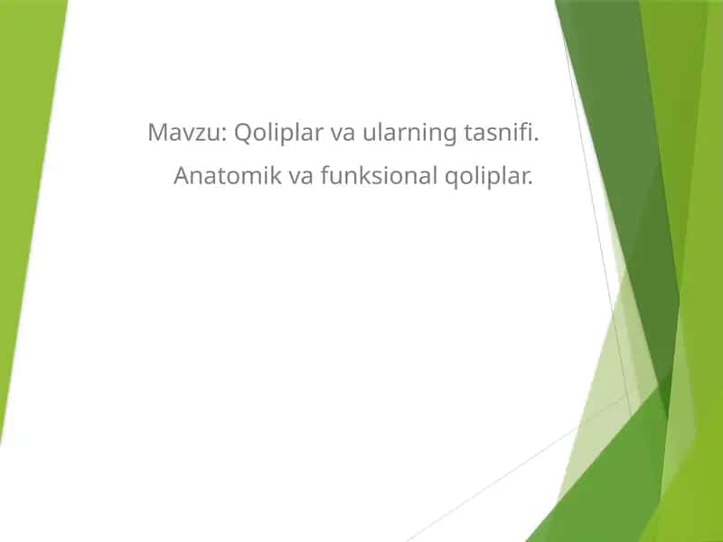 Qoliplar va ularning tasnifi. Anatomik va funksional qoliplar. 1