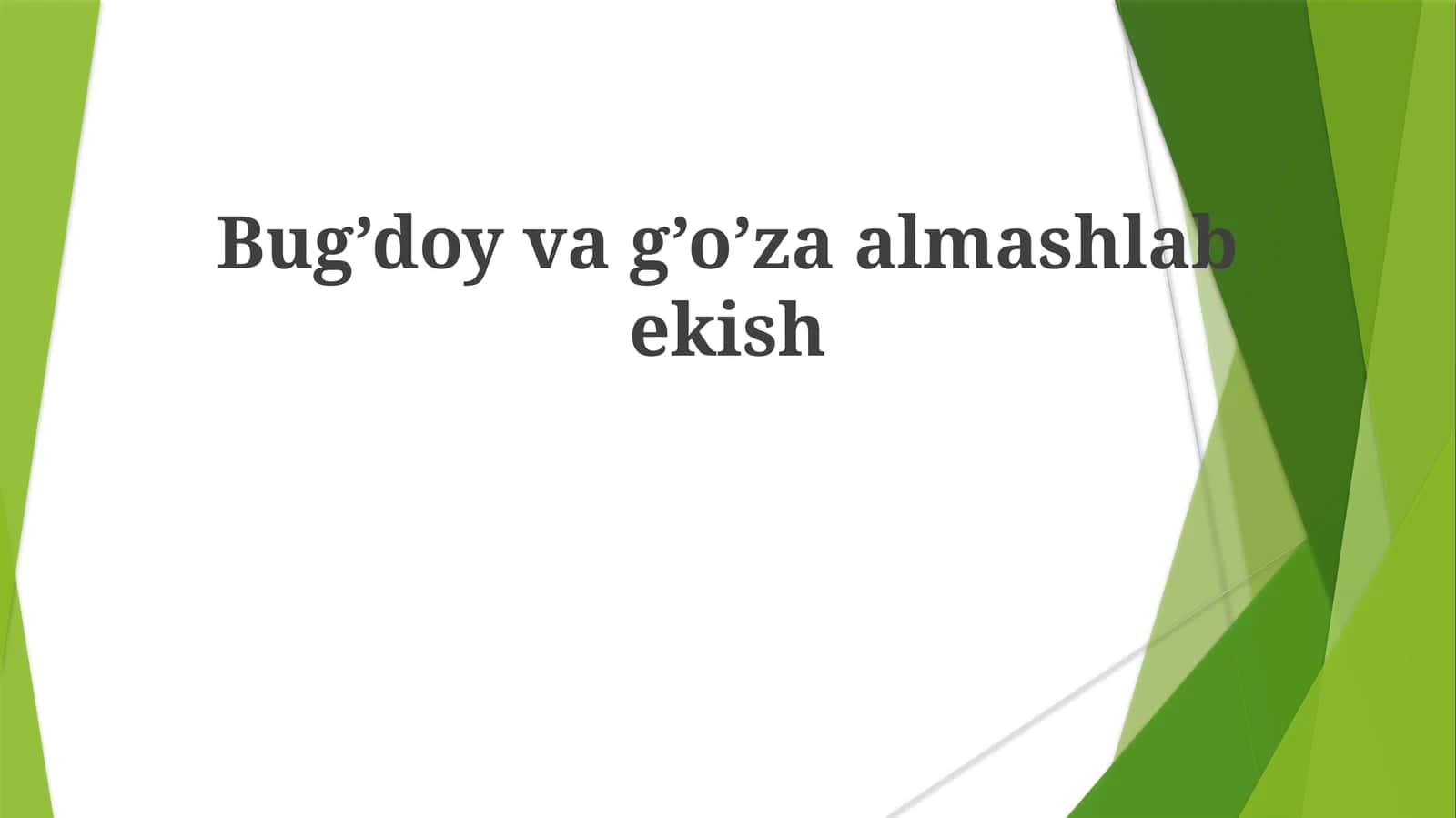 Paxta va Makkajoʻxori Birgalikda Ekishning Iqtisodiy Samaraliligi 1