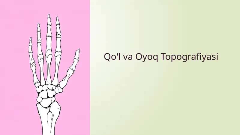 Qo'lva Oyoq Topografiyasi 1