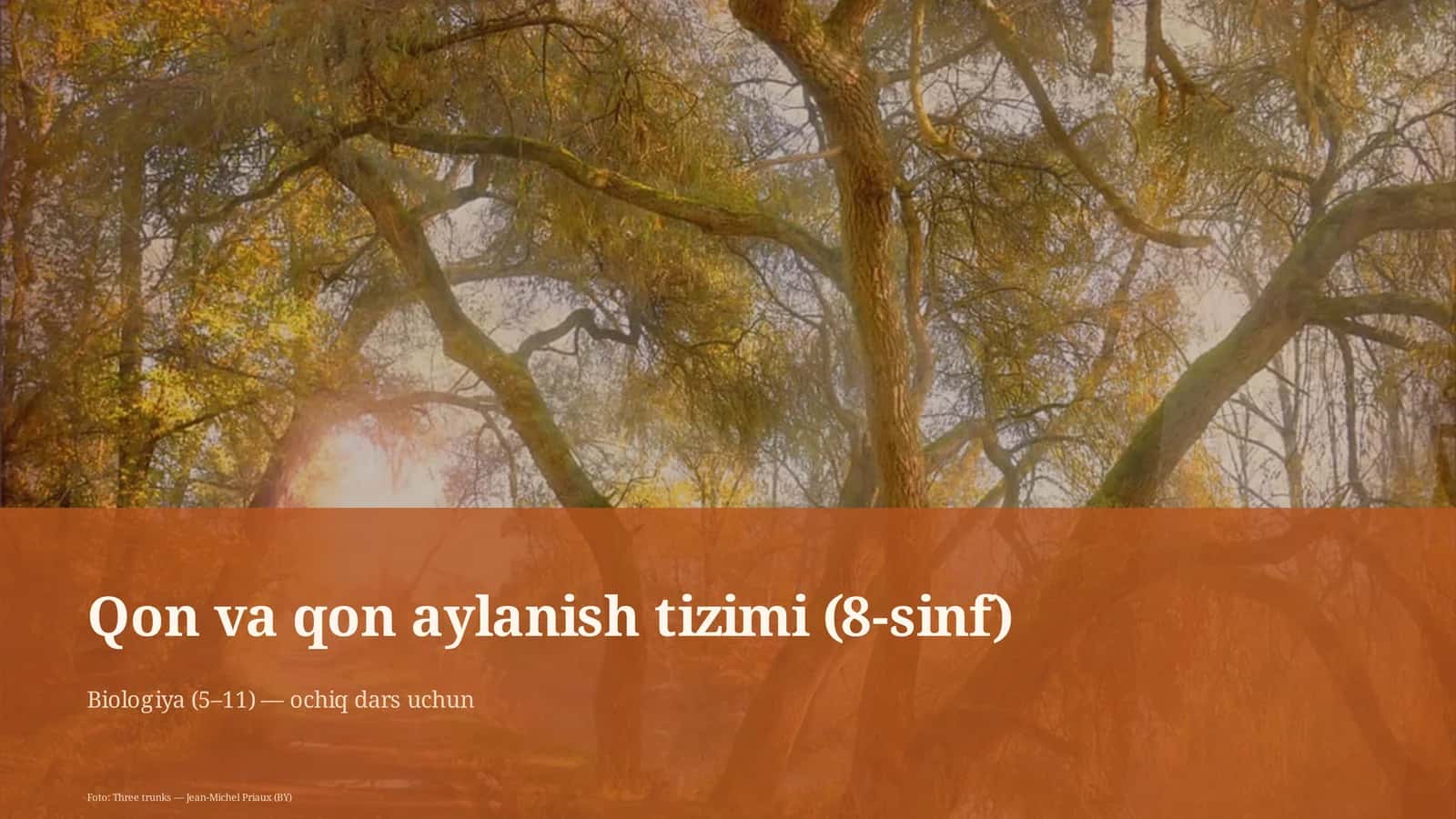 Qon va qon aylanish tizimi (8-sinf) 1