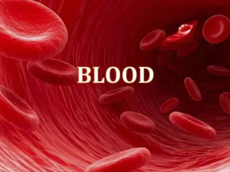Components of Blood 1