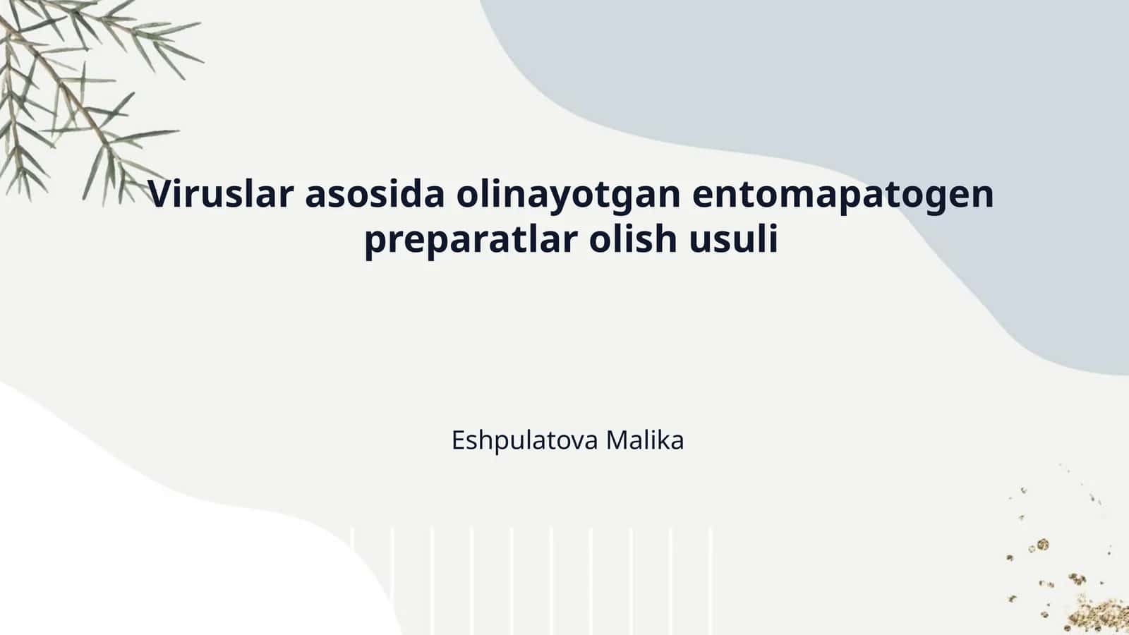Viruslar asosida olinayotgan entomapatogen preparatlar olish usuli 1