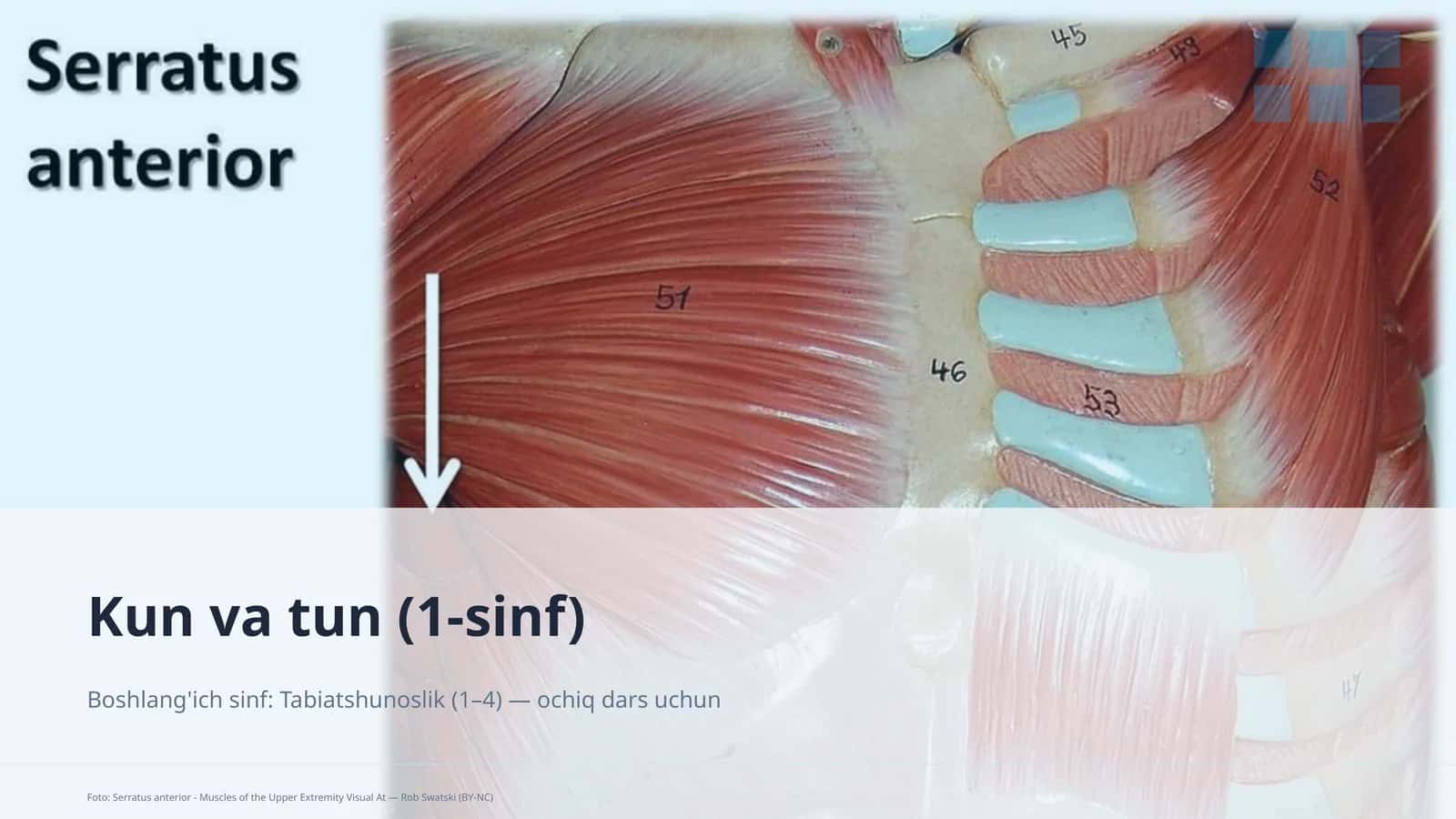 Kun va tun (1-sinf) 1