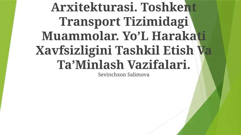 Ittning Funktsional Arxitekturasi, Toshkent Transport Tizimidagi Muammolar 1