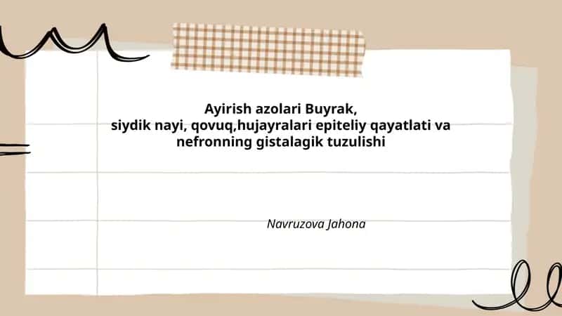 Ayirish azolari Buyrak va nefronning tuzilishi 1